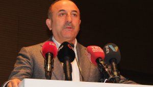 Bakan Çavuşoğlu'ndan önemli açıklamalar