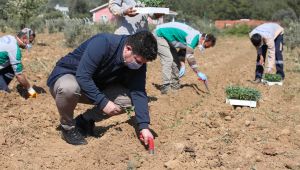 Başkan Kılıç 16 dönümlük "destek" bostanı kurdu