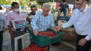 Mendegüme Toptan Erik ve Kiraz Pazarı açıldı