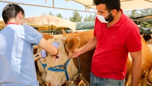 Buca'nın kurban pazarları denetlendi