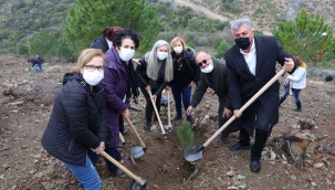 Güzelbahçe'de 500 Fıstık Çamı Toprakla Buluştu