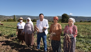 Milas,Bölgenin Parlayan Yıldızı Olacak