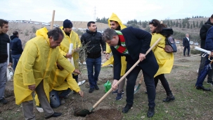 Karşıyaka'da yeşil seferberlik 