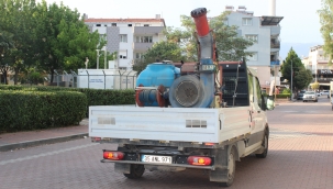 Kemalpaşa'da Sinekle Yoğun Mücadele