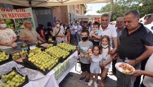 Torbalı'da Bardacık İnciri coşkusu