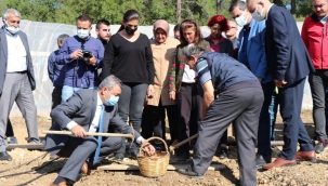 İl Müdürü Özen "Salep Üretimini İzmir'de Yaygınlaştırıyoruz"