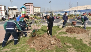 Fidanlar dikiliyor Bornova bahara hazırlanıyor