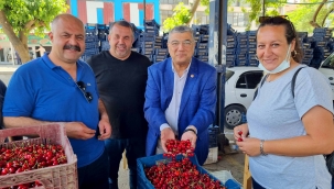 Sındır, "tarımda plansızlığın ağır bedelini üretici ve tüketici ödüyor!" 