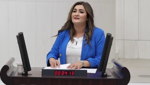 CHP'li Sevda Erdan Kılıç: "Romanlar Türkiye Geneline göre 6 yıl Daha Kısa Yaşıyor"