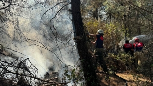 İzmir İtfaiyesi 4 ilçede yangınlara müdahale ediyor 
