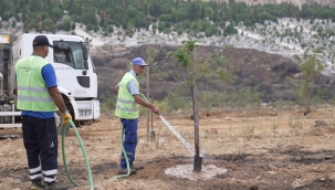 Yangın ormanından yüzleri gülümseten haber 