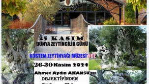 Akansu'nun objektifinden ölümsüz zeytin ağaçları 