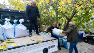 Bornova'da zeytin üreticilerine lojistik destek 