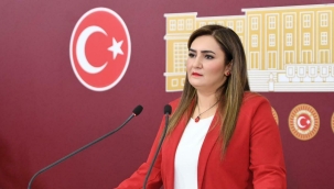 CHP'li Sevda Erdan Kılıç: Sahte İçki Sorununu Meclise Taşıdı